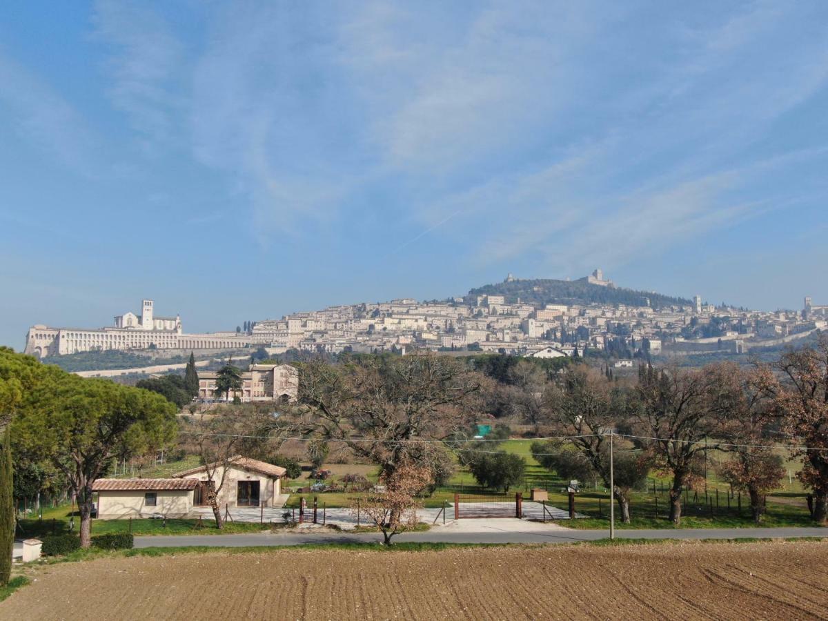 Il Granaio Di Rossetti Elisabetta Ξενοδοχείο Ασίζη Εξωτερικό φωτογραφία